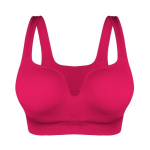 Padded Crop Sports Bra