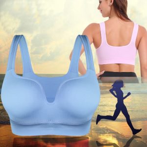 Padded Crop Sports Bra