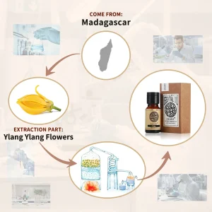 AKARZ Ylang-Ylang Essential Oil Natural for Skin Body Hair Care Diffuser Candle Soap Making DIY Massage Aroma Ylang Ylang Oil