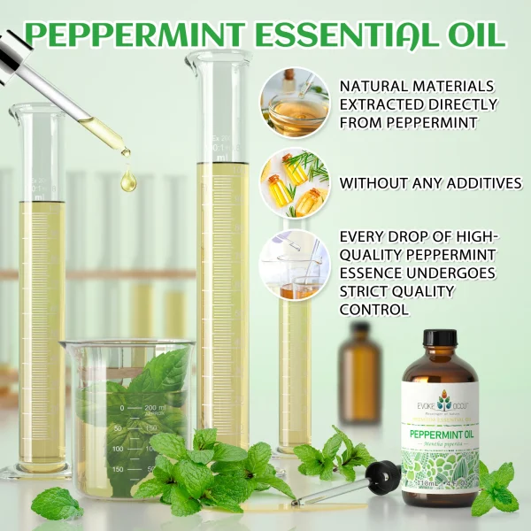 EVOKE OCCU Peppermint Essential Oils, 118ML/4 Fl.Oz. Premium Plant Oil for Diffuser, Hair, Massage, Skin, Candle Soap Making, - Image 3