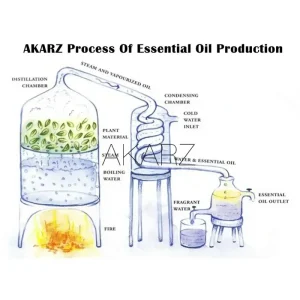 AKARZ Professional Hot Sale Essential Oils Aromatic for Aromatherapy Diffusers Face Body Skin Care Massage Aroma Perfume Oil
